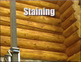  Springville, Alabama Log Home Staining